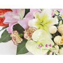 Navegando rumo à graça