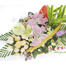 अनुग्रह की ओर बढ़ना