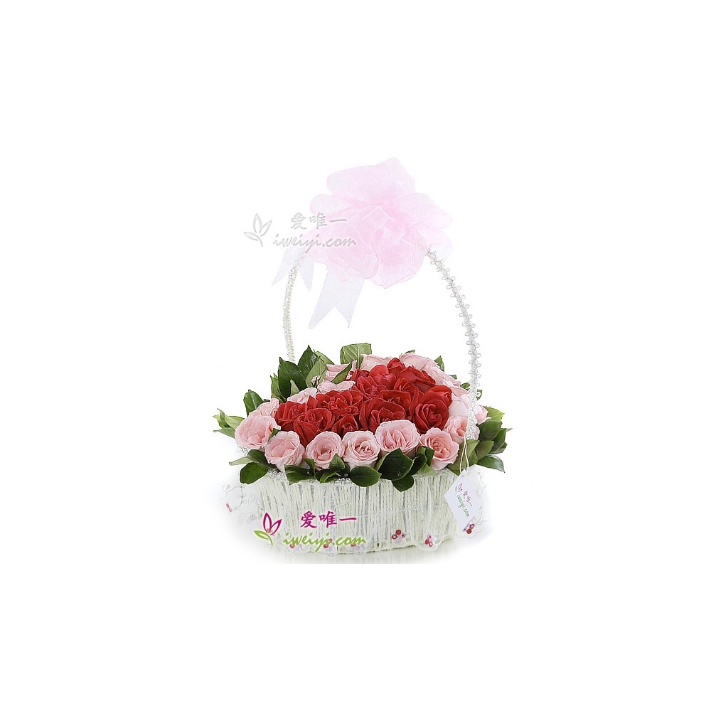 L'unique amour pour l'unique toi. L'unique amour pour l'unique toi.