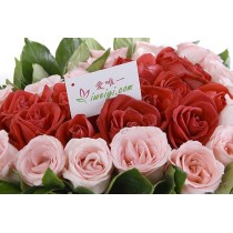 Die einzige Liebe für die einzige dich.