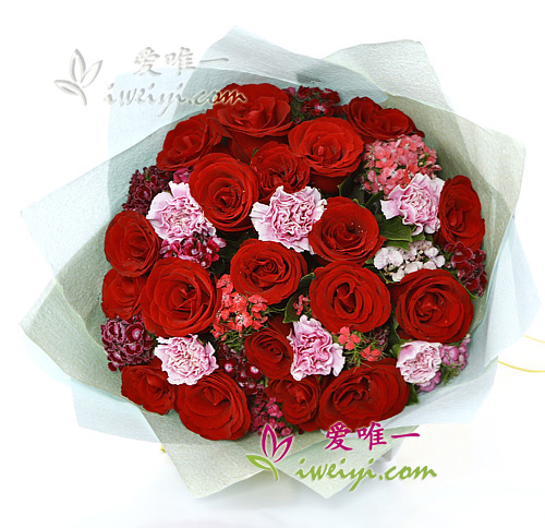rote Rosen