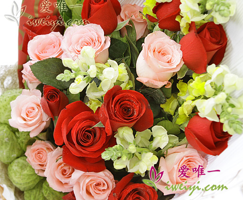 bouquet de roses rouges, roses de couleur rose et de mufliers jaunes