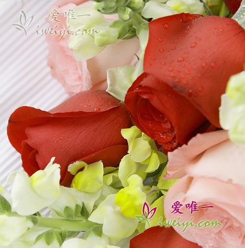 send a bouquet of pink roses, red roses and yellow snapdragons to China