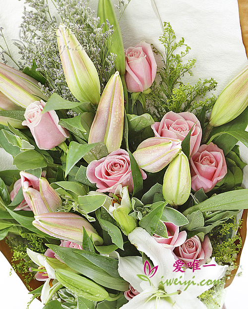 5 mehrstämmige rosa Sibirien-Lilien, 3 mehrstämmige weiße Duftlilien