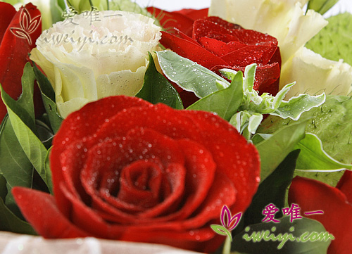 send a bouquet of red roses and champagne lisianthus to China