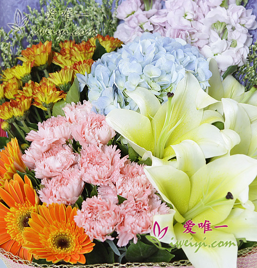 gerbera orange