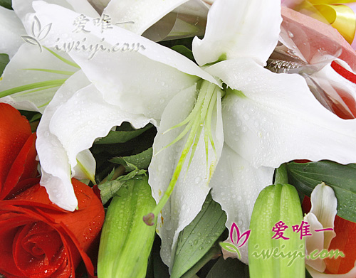 lirios blancos perfumados