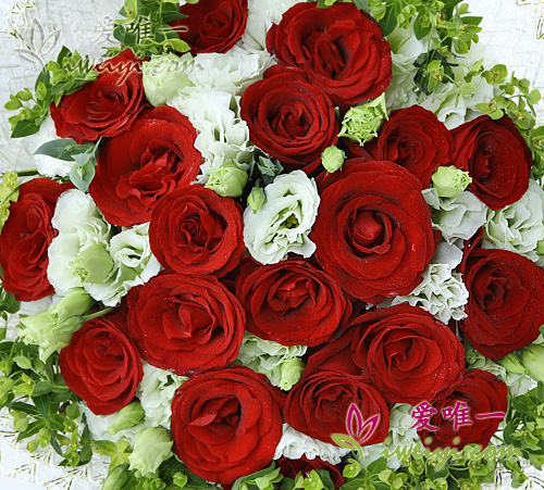 red roses