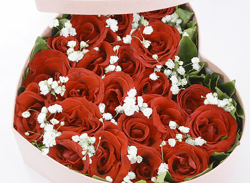 送一盒新鲜红玫瑰给生活在中国的爱人