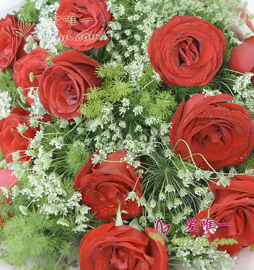 rote Rosen