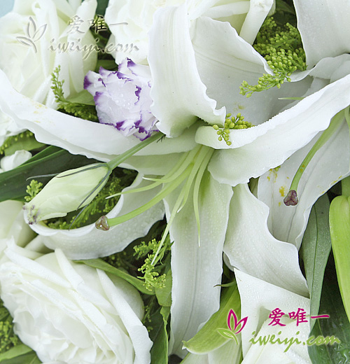 white lilies