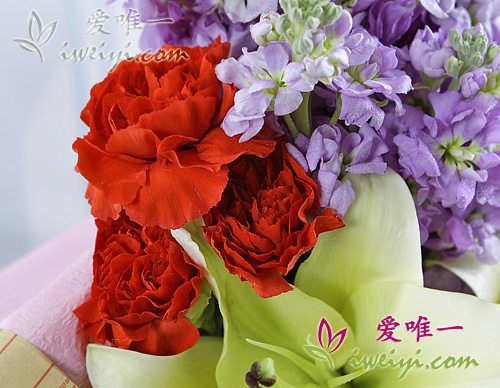 gelbe Lilien