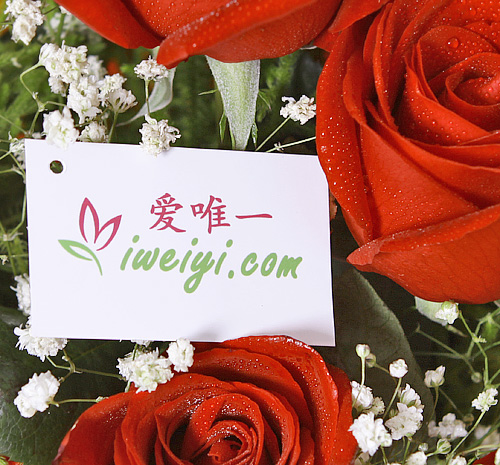 Senden Sie einen Strauß roter Rosen nach China