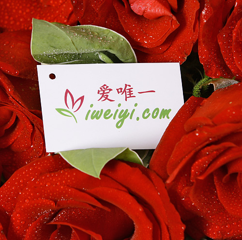 Send a bouquet of red roses and white spray carnations to China