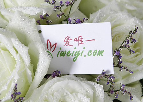 invia un mazzo di rose bianche in Cina