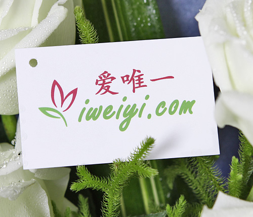 white roses delivery in China
