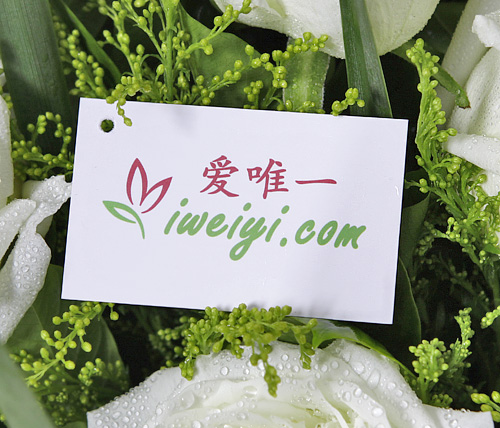 consegna di rose bianche in Cina