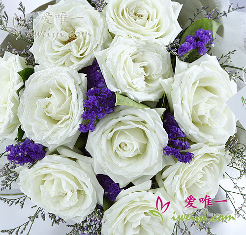 rosas blancas