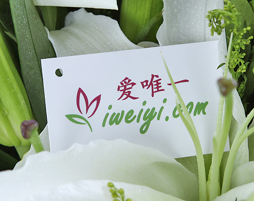 einen Strauß aus weißen Rosen nach China senden
