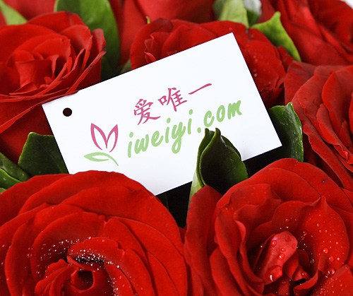 Le bouquet de fleurs « Love and live together »