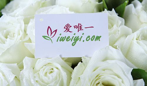 send white roses to China