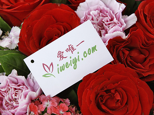 einen Strauß aus roten Rosen und rosa Nelken senden
