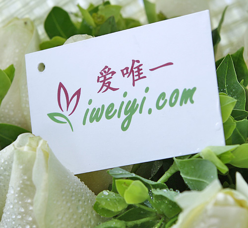 send a bouquet of champagne roses to China