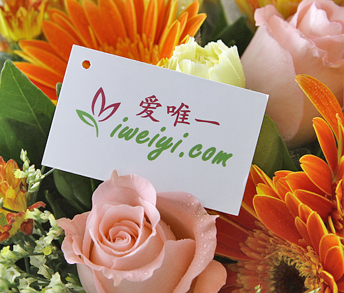 send a bouquet of pink roses, orange gerbera and yellow carnations to China