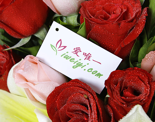 send a bouquet of red roses, yellow lilies and pink roses to China