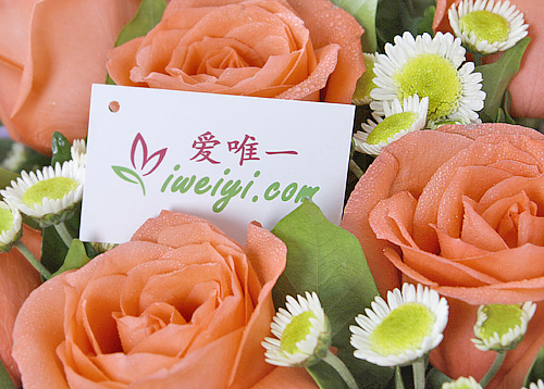 sende einen Strauß von rosa Rosen nach China