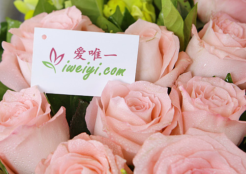 send a bouquet of pink roses to China