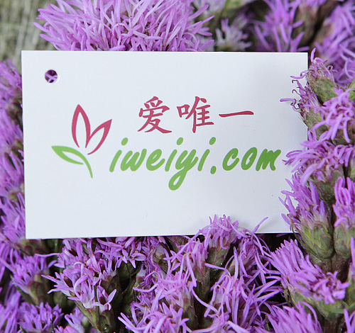 envoyer un bouquet de lys blancs en Chine