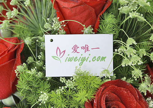 sende einen Strauß aus roten Rosen und rosa Löwenmäulchen nach China