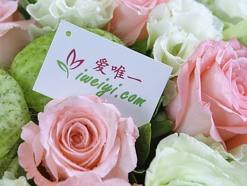 send a bouquet of pink roses to China