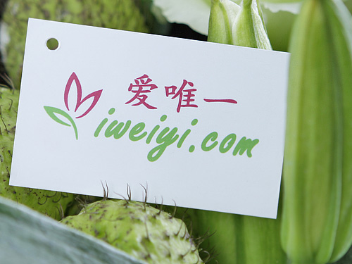 send a bouquet of white lilies to China