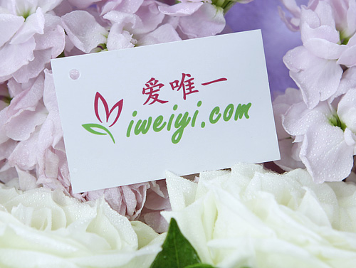 send a bouquet of white roses to China