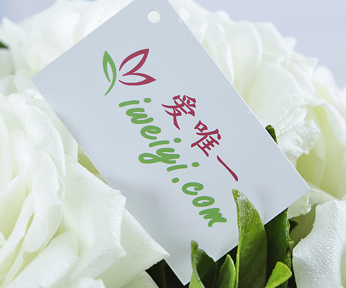 envoyer un bouquet de roses blanches en Chine