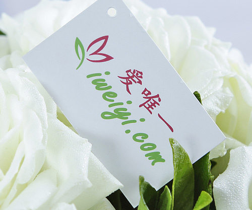 send a bouquet of white roses to China