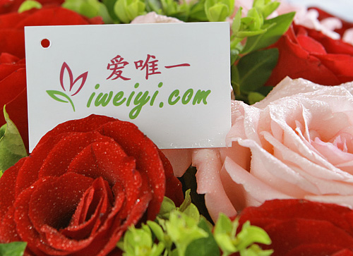 send a bouquet of pink roses and red roses to China