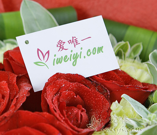 送一束紅玫瑰和黃康乃馨到中國