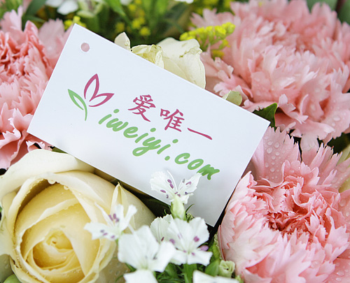 send a bouquet of champagne roses and pink carnations to China