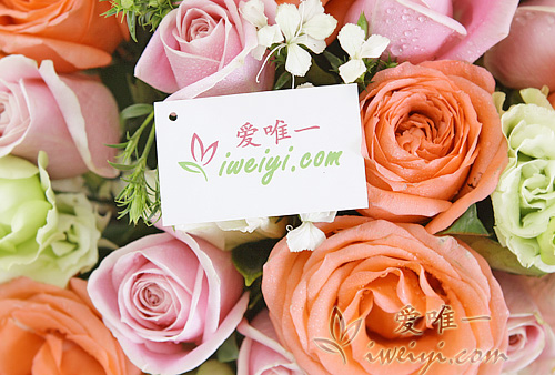 send a bouquet of pink roses to China