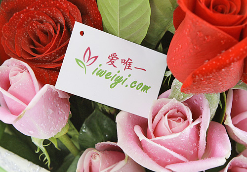 send a bouquet of red roses and pink roses to China