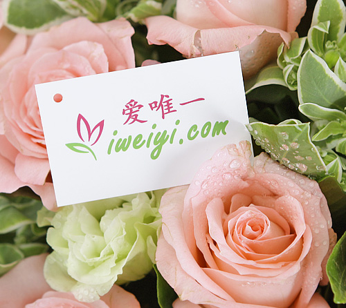 send a bouquet of pink roses to China