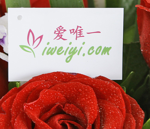 送一束紅玫瑰到中國