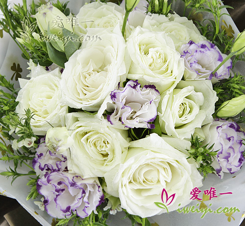 lisianthus