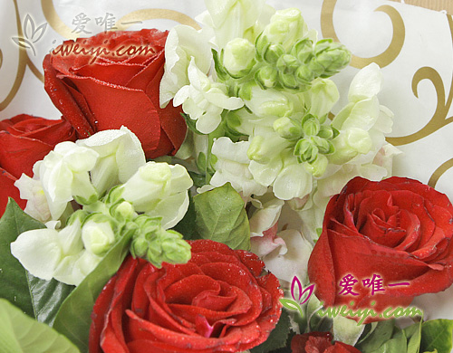 rote Rosen