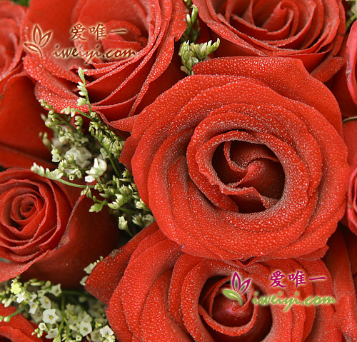 send a bouquet of red roses to China