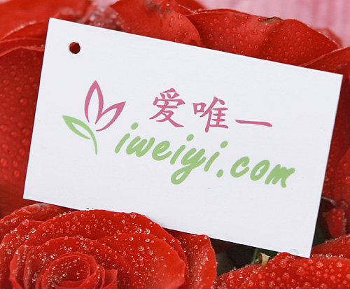 envoyer un bouquet de roses rouge en Chine