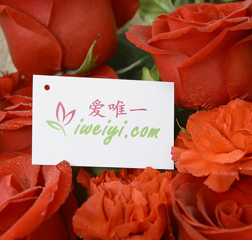 一束鮮花“偉大的愛”